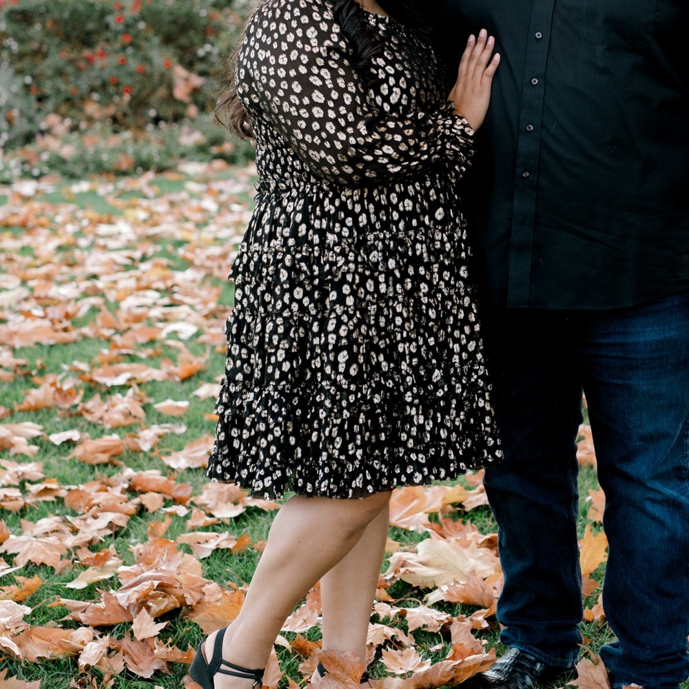 Ivy City Co Black and Cream Midi Dress